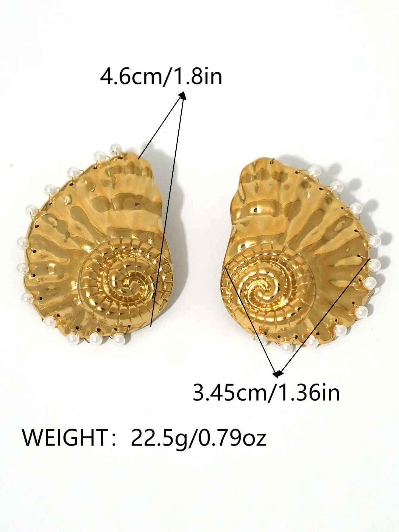 Ribbed Large Shells Thick Sea Shell Stud Earrings