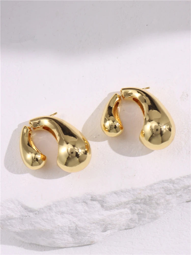 Double Water Drop Earrings