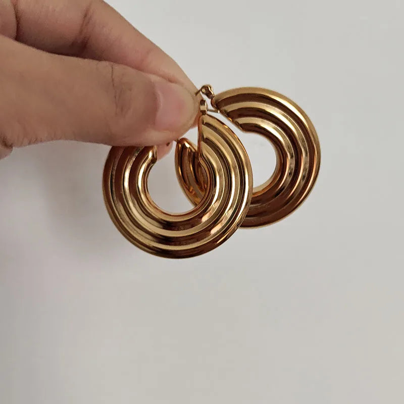 Statement Hoop Earrings stainless steel earrings