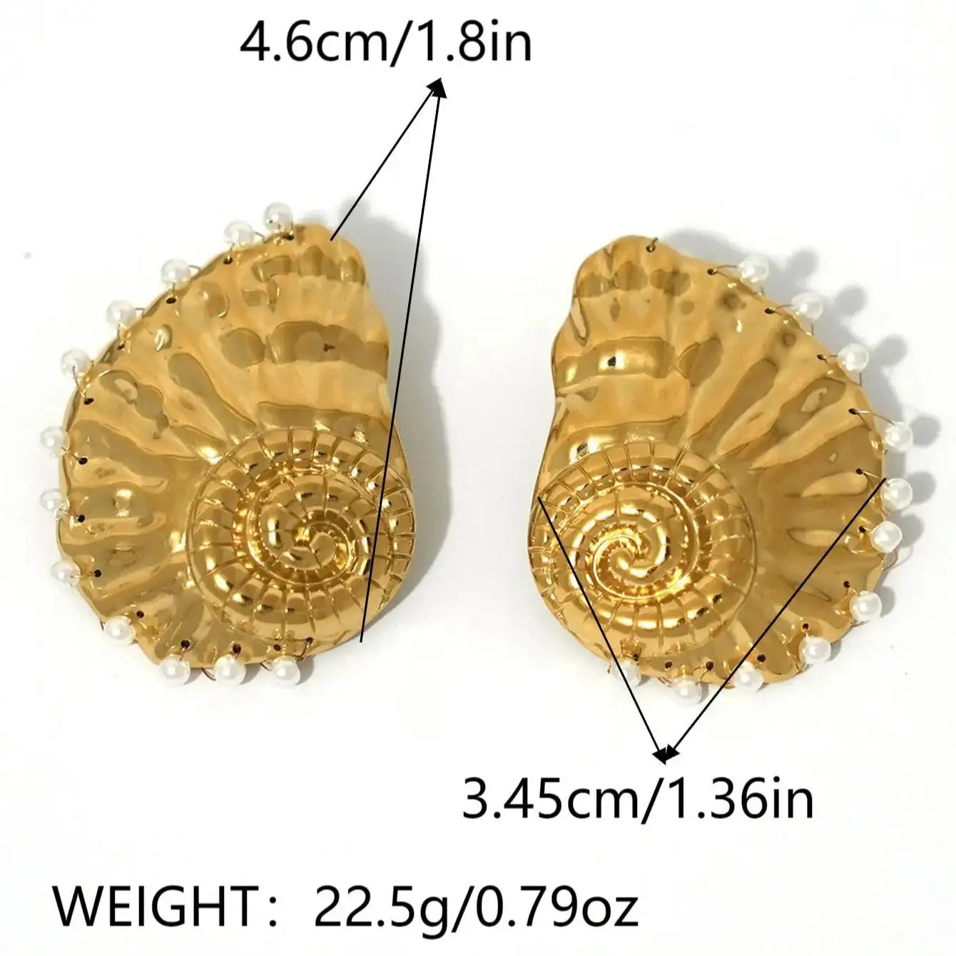 Ribbed Large Shells Thick Sea Shell Stud Earrings