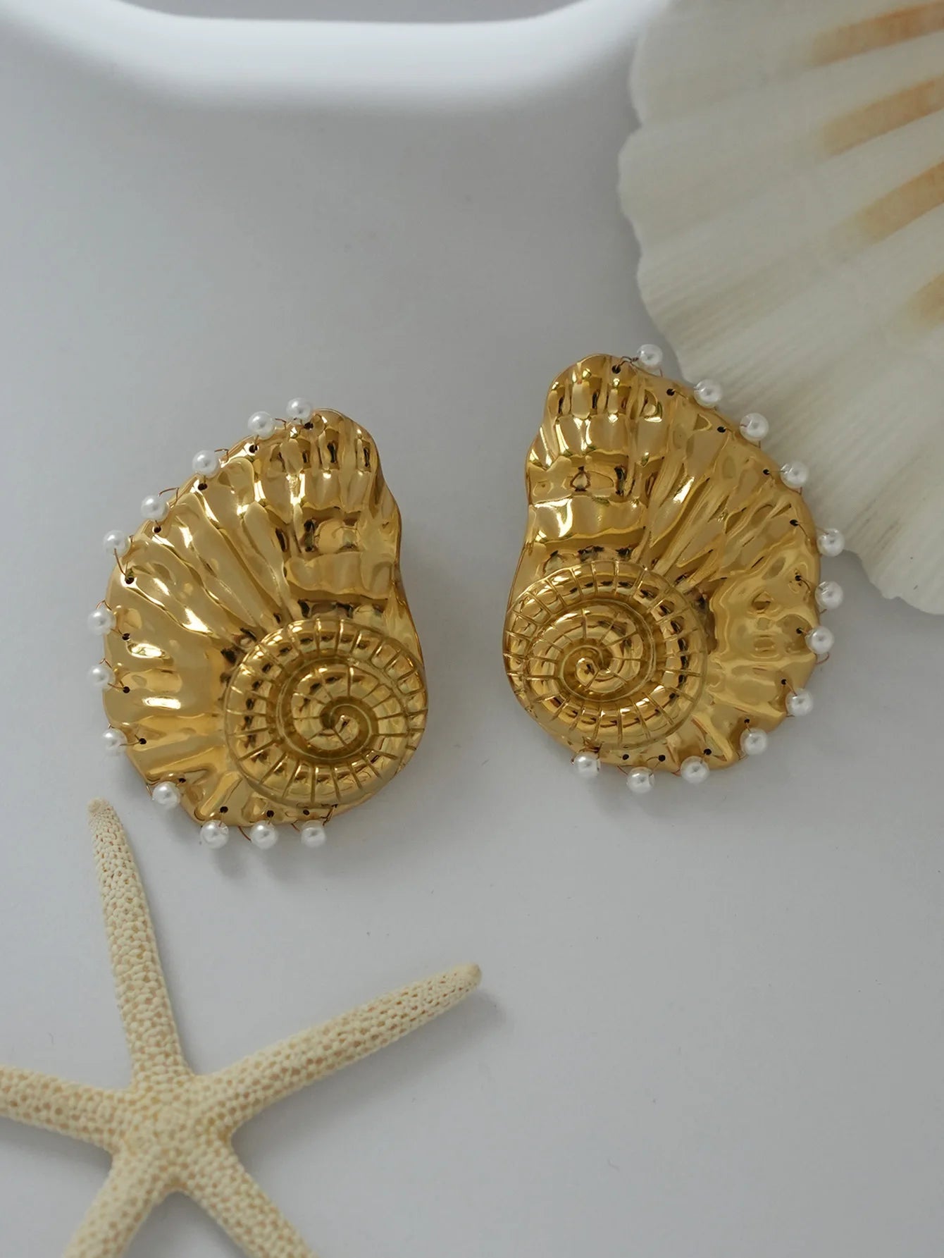 Ribbed Large Shells Thick Sea Shell Stud Earrings