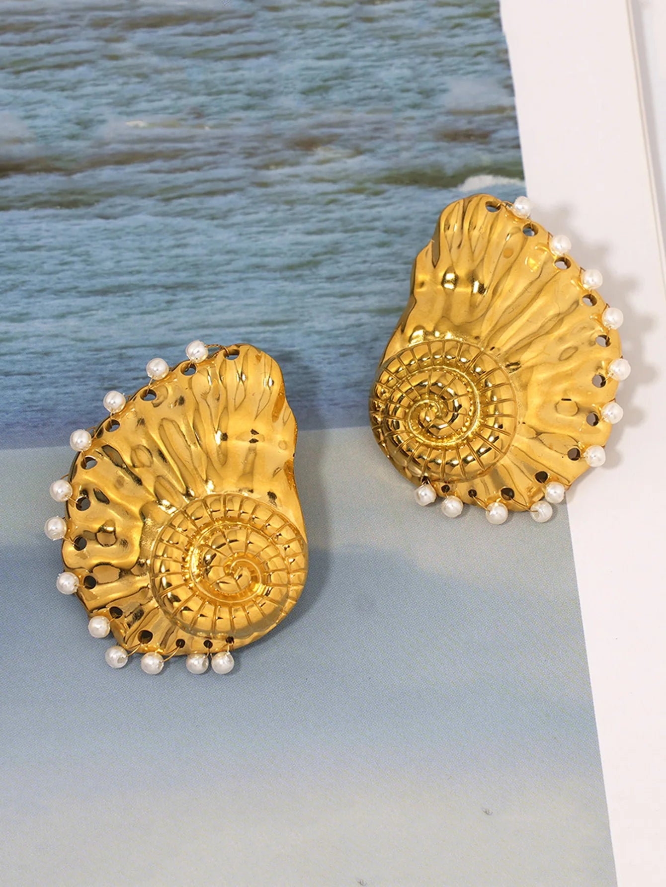 Ribbed Large Shells Thick Sea Shell Stud Earrings