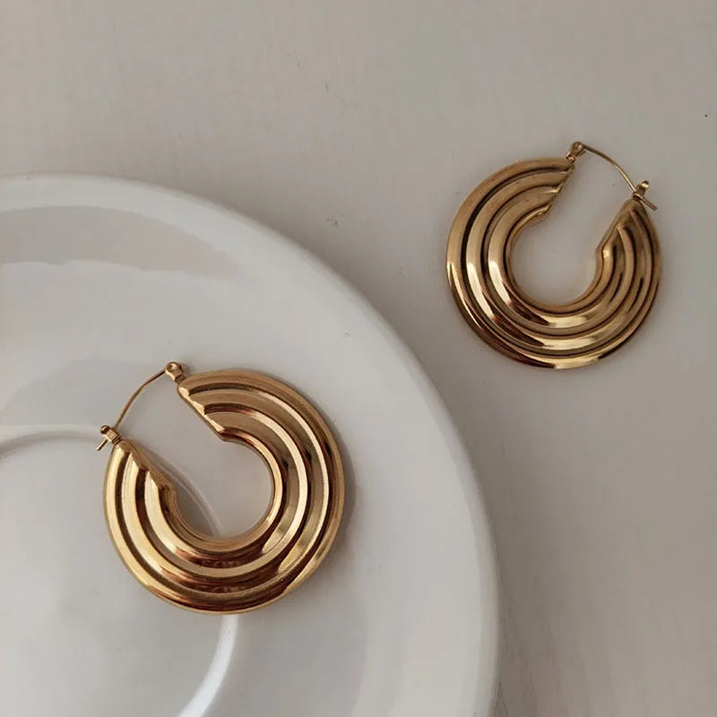 Statement Hoop Earrings stainless steel earrings