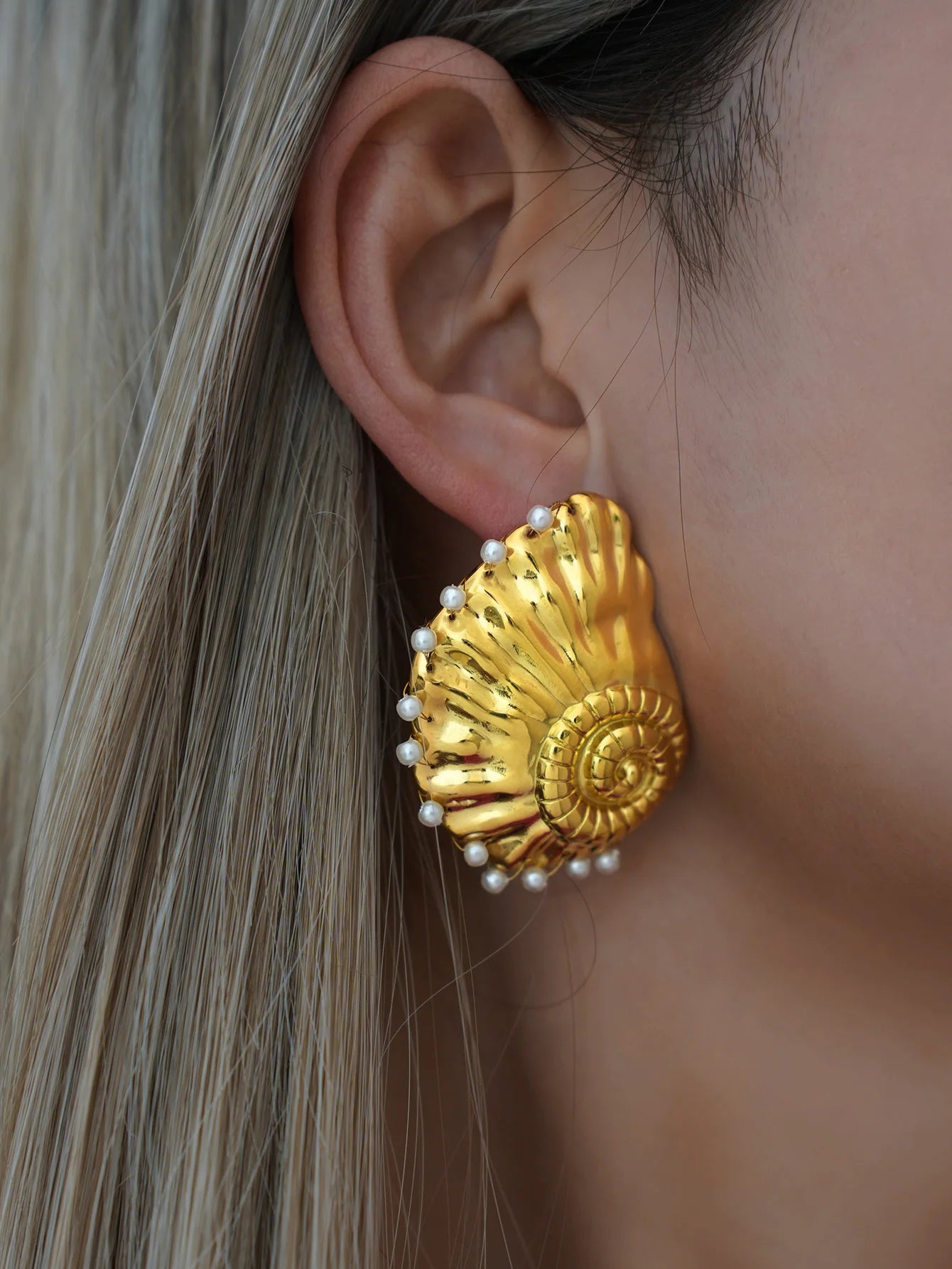 Ribbed Large Shells Thick Sea Shell Stud Earrings