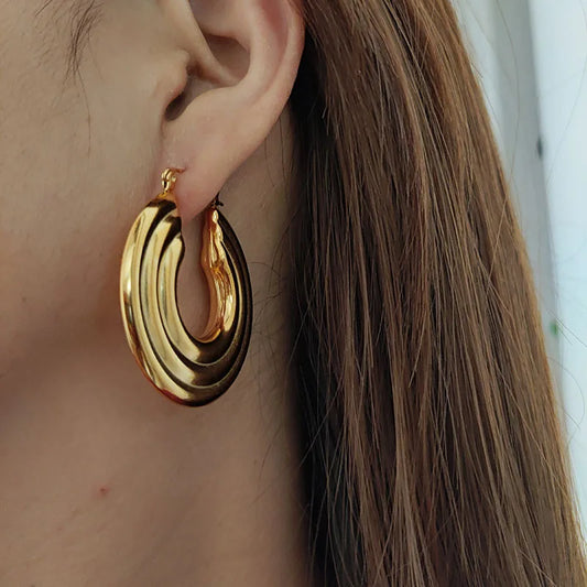 Statement Hoop Earrings stainless steel earrings